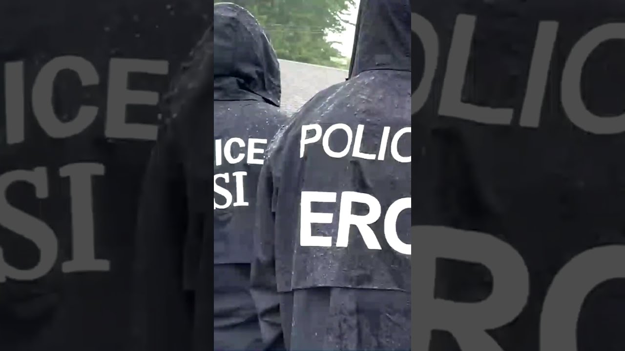 #ICE & federal law enforcement partners arrest 24 illegal aliens in Michigan operation