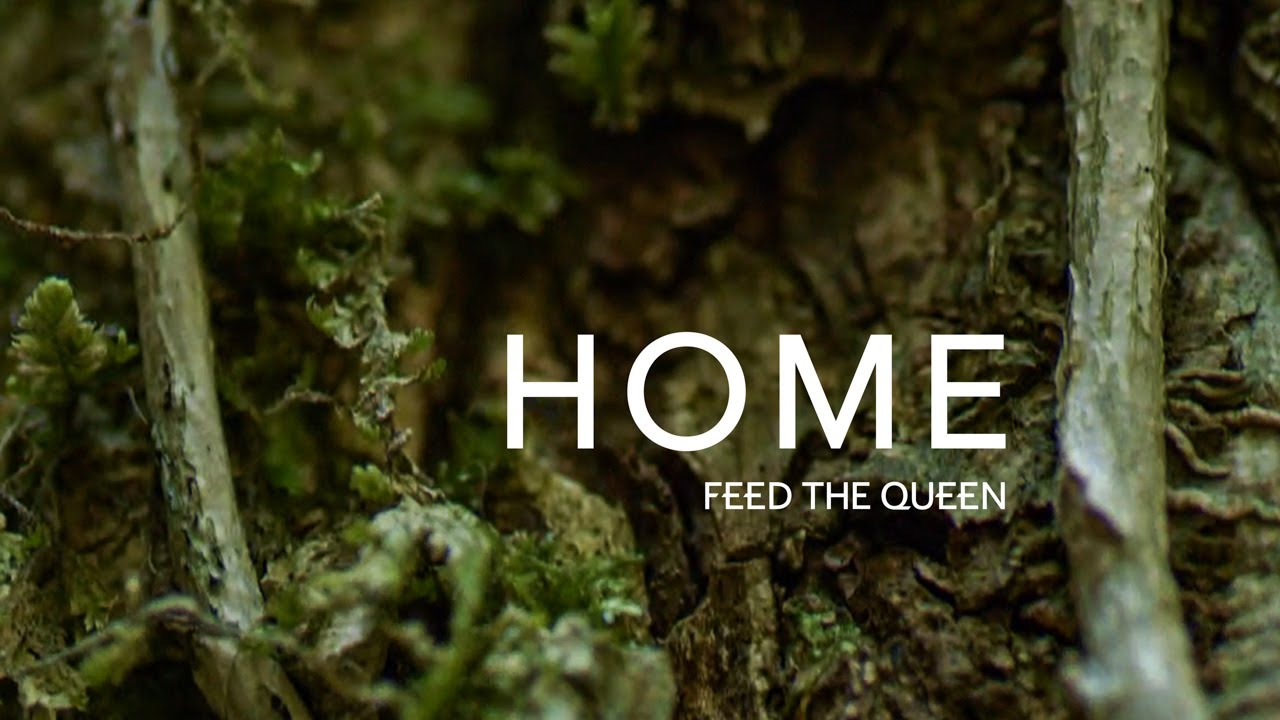 Feed the Queen - Home