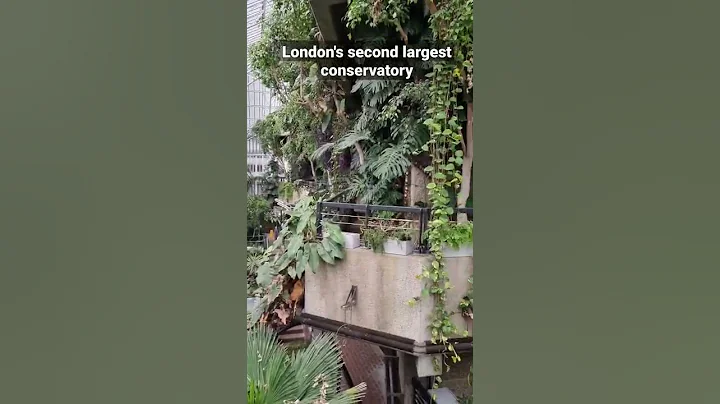 Visit this hidden gem in London #london #garden #plants #silife #shorts