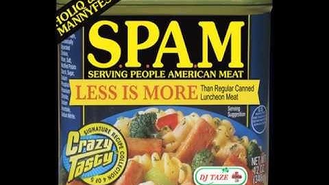 S.P.A.M - Ill Legal Aliens  (holiq & mannyfesto)