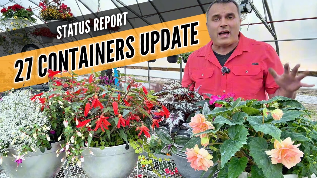 I Planted 27 Containers… Here’s How They Look Now