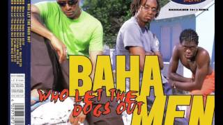 Baha Men - Who Let The Dogs Out (Bassgainer 2013 Remix)