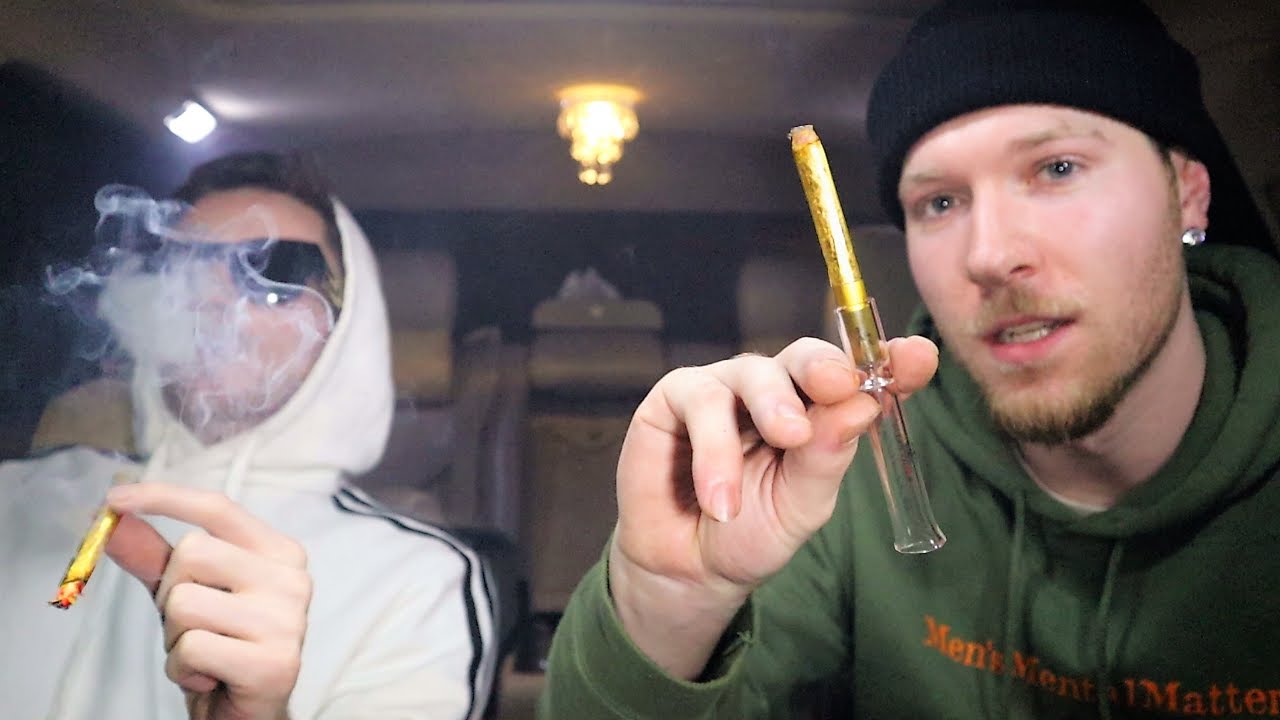 24K Gold King Palm HOTBOX!