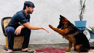 PUPPY KO TRAINING KAISE DEN | HOW TO GIVE TRAINING TO YOUR PUPPY 🐶 by Saksham7000(All Rounder) 5,387 views 1 year ago 28 seconds