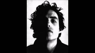 The Wallflowers 'Letters from the Wasteland' (iTunes Originals 2005)