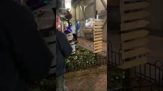 Bear Casually Strolling Around Shops