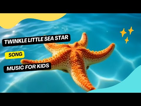 Twinkle Little Sea