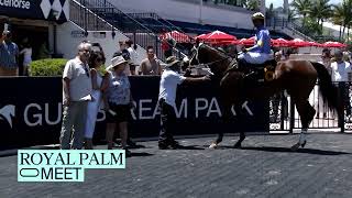Gulfstream Park Replay Show | June 21, 2026