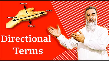 Human body direction terms / Dr . ABDUL HAMEED RAHMANZAI SAPAI