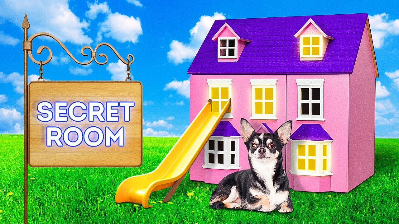 SECRET ROOM FOR MY DOG! Gadgets And Hacks For Pet Owners