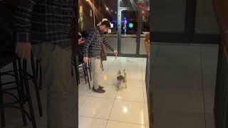 Açken Sen Sen Değilsin