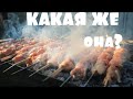 Шашлык из оленины ( Экспериментальная Дегустация )