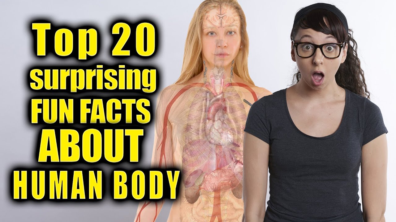 20 surprising facts about Human Body - YouTube