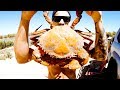 REMOTE CAMPING WITH NO FOOD Giant Mud Crab Catch & Cook - Ep 150