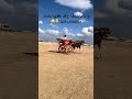 وانا بخدها ع قد عقلها عشان متنكدش عليا