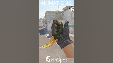 CS2 | Karambit Lore - #reels #shorts