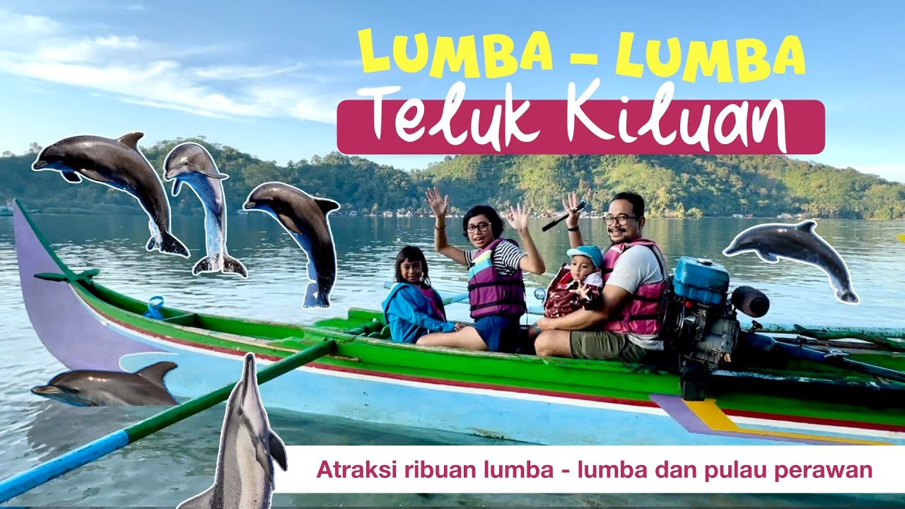 Atraksi ribuan lumba - lumba Teluk Kiluan! Jackpot lumba - lumba terbang! Pulau Kelapa yang menawan!