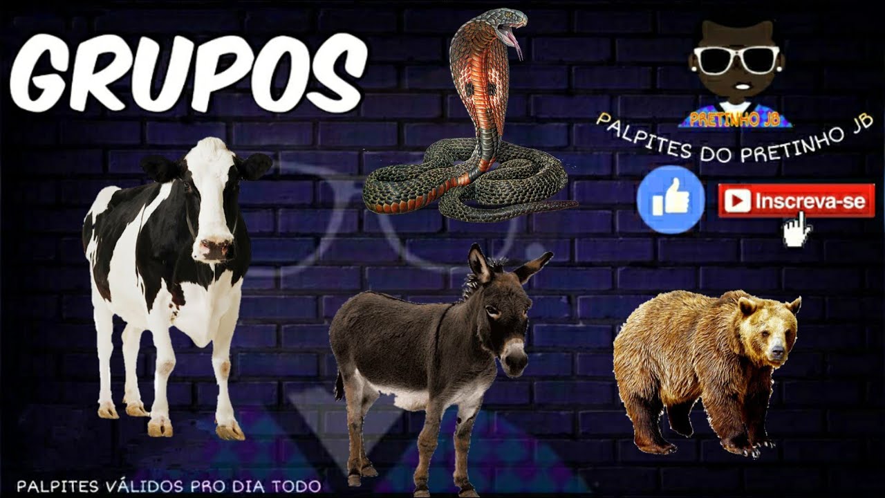 JOGO DO BICHO DE HOJE 09/10/2020 PARA TODAS AS LOTERIAS - YouTube