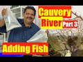 Indian Biotope Aquarium | Cauvery River | Fish Acclimatisation & Quarantine Mayur Dev's tips