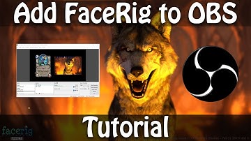 Setup FaceRig in OBS Recording with Green Screen | Tutorial for Beginners