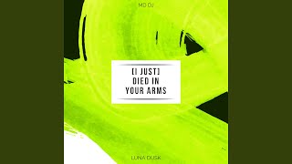 I Just Died In Your Arms - YouTube