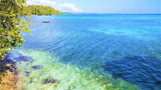 Download Lagu Pantai Yang Indah Jernih #short MP3