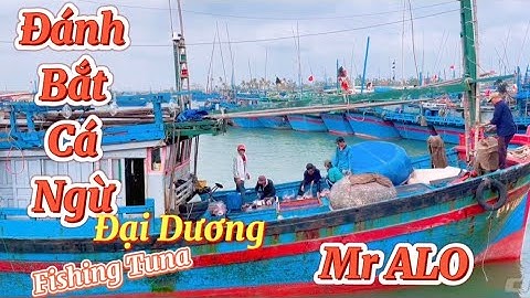 Ngư Dân Phú Yên Đánh bắt Cá Ngừ Đại Dương Khổng Lồ | Giant Tuna | Thành Phố Tuy Hoà - Phú Yên 2021