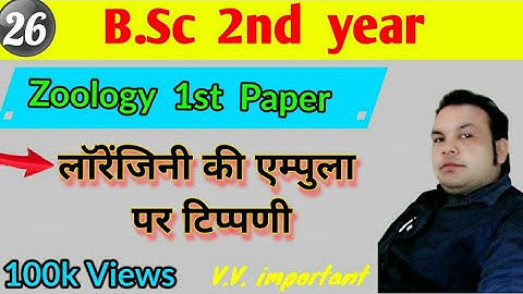 Ampullae of Lorenzini, Bsc 2nd year | Zoology 1st paper, paper Hacker