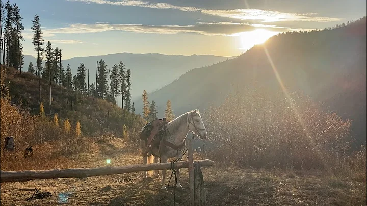 Idaho Horseback Elk Hunt- Frank Church Wilderness