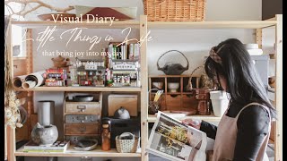 Visual Diary | Little things in life that bring joy into my day | Japanese cooking, Flower arranging