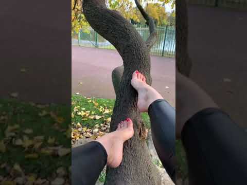 Bare feet in nature earthing