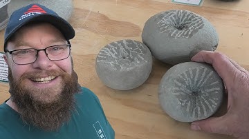 Fossil hunting and a few mystery fossils prepped [New Zealand]