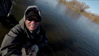 Steelhead Fishing    Where to fish on the Grand River