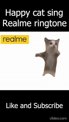 Happy cat sing Realme ringtone #happy #happycat #happycats #realme   #meme  #funny