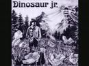 Dinosaur Jr - Mountain Man