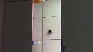 Ísis Tomando Banho - 12012020