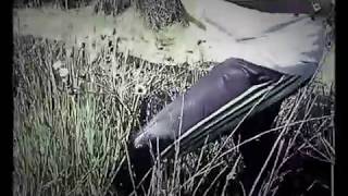 MSV. Check the depth of dirty Swamp overgrown roadside & fill my Kang chen PVC boots.
