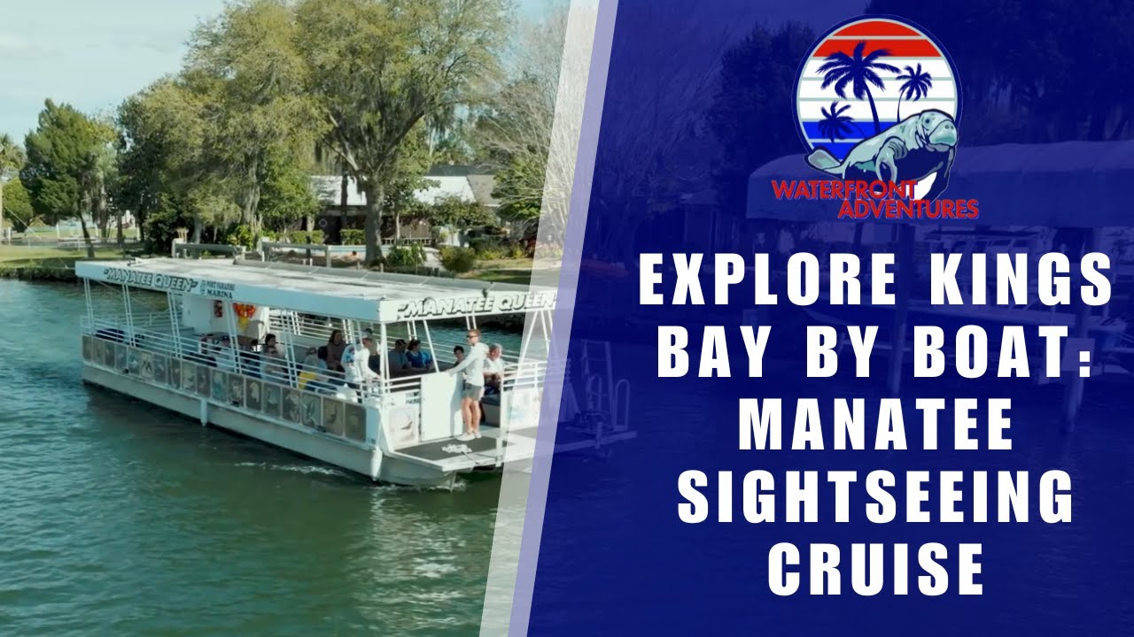 Explore Kings Bay By Boat: Manatee Sightseeing Cruise | Waterfront Adventures