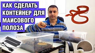 Контейнер для маисового полоза - Как сделать своими руками