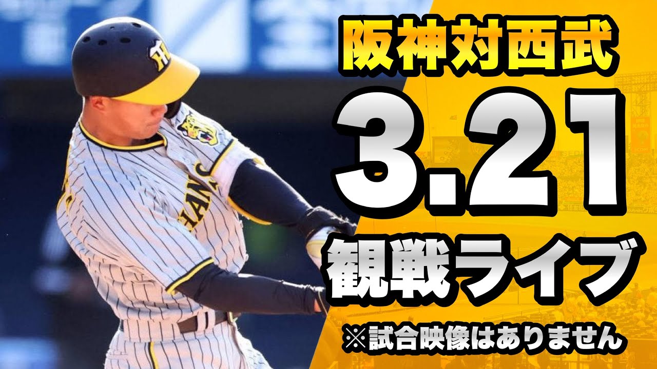 セ・パ交流戦 送料込み！ 6/1西武ライオンズVS阪神タイガース 3