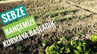 Sebze bahçemizi oluşturmaya başladık