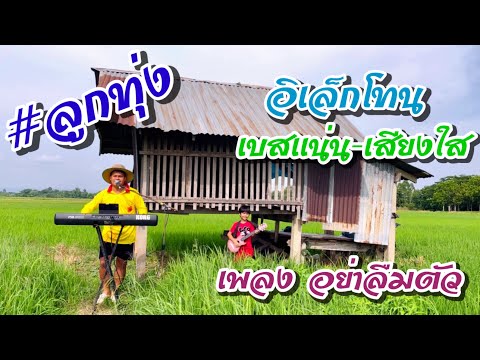 เพลงอย่าลืมตัว-อิเล็กโทนเล่นสดเบสแน่น #ลูกทุ่งเพราะๆ