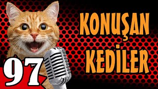 Konuşan Kediler 97  En Komik Kedi Videoları Pati TV by Pati TV 34,182 views 3 weeks ago 9 minutes, 46 seconds