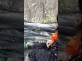 【混浴女子】野良足湯