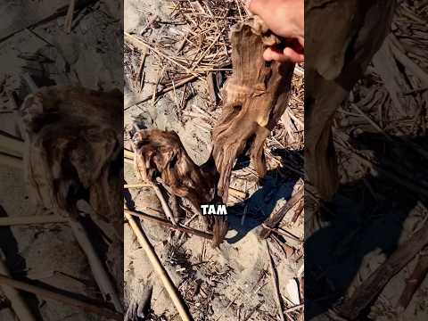 Обычная старая коряга порой может стать творением искусства👍 #дача #сад #shorts