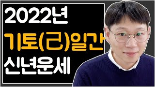 2022년 기토일간(己) 임인년 신년운세/정재/ 정관/ 재생관