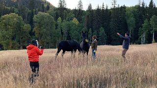 Profoto Academy - Stand out from the crowd with your smartphone photography (series intro) screenshot 4