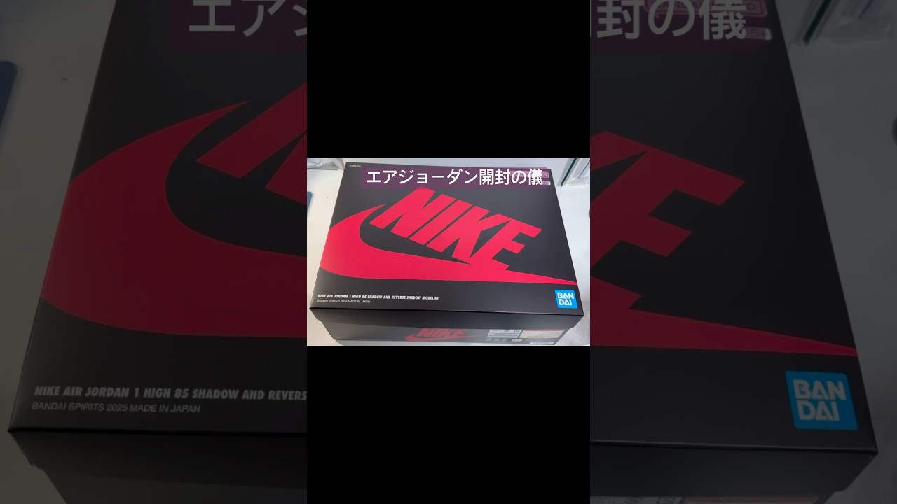 👟NIKE AIR JORDAN 1 HIGH 85 SHADOW AND REVERSE SHADOW MODEL