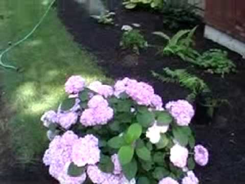 Garden Tour