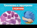 😟 Уреаплазма и гарднерелла у мужчины. Клинический случай №1222